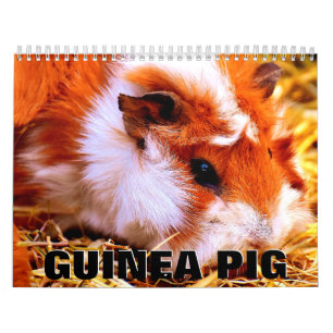 Guineanska Gris-väggskalender Kalender