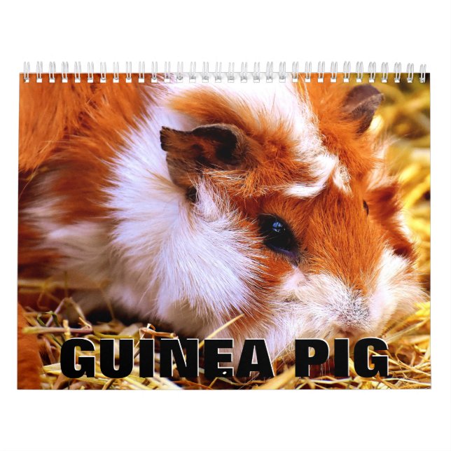 Guineanska Gris-väggskalender Kalender (Omslag)