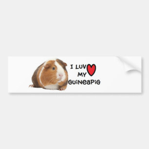 Guineapigbildekalet " älskar jag min Guineapig ", Bildekal