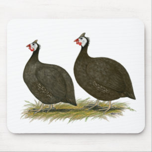 Guineas: Choklad Musmatta