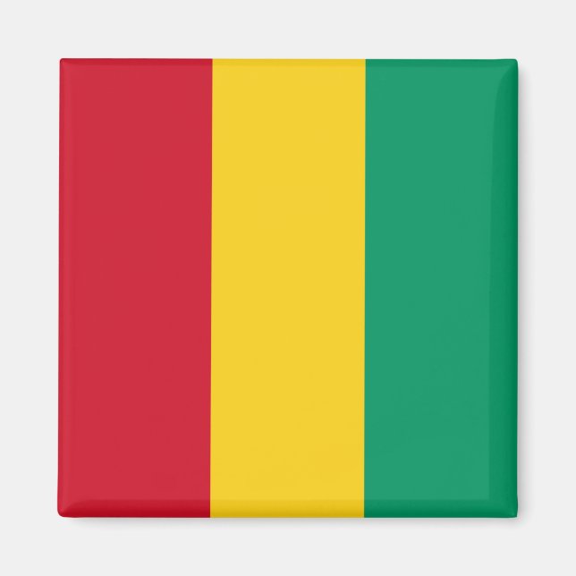 Guineas flagga (Afrikas Land) Magnet (Framsidan)