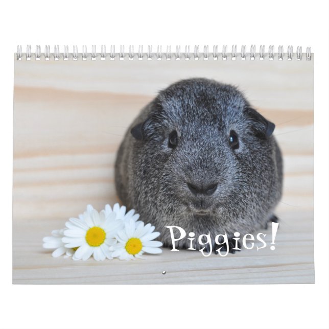 Guineas fotokalender för Gris Kalender (Omslag)