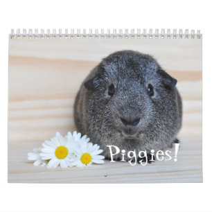 Guineas fotokalender för Gris Kalender