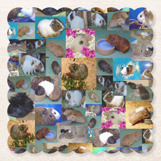 Guineas fotokollage med Gris, Underlägg Papper (Framsida)