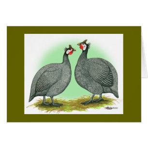 Guineas: Fransk OBS Kort