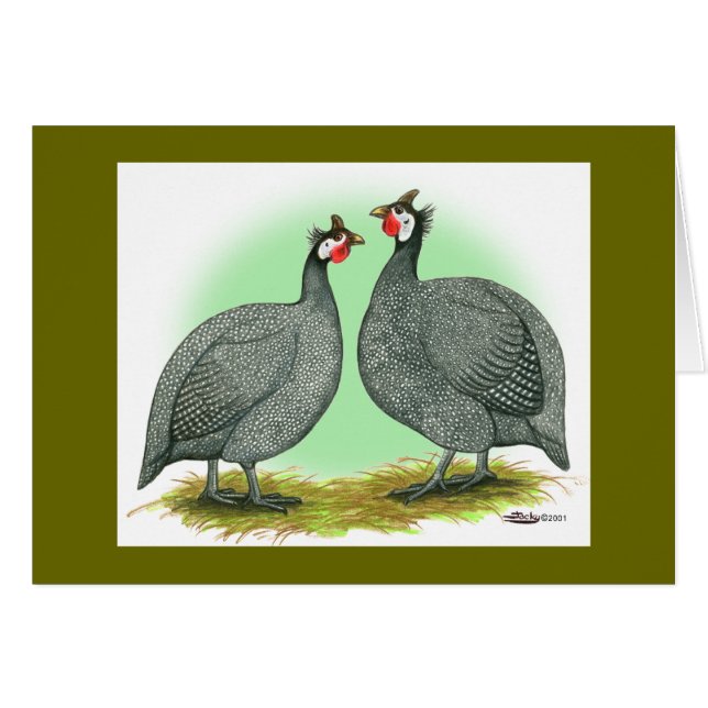 Guineas:  Fransk OBS Kort (Framsidan Horizontal)