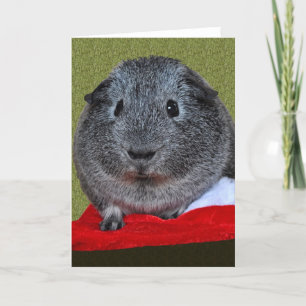 Guineas Gris-jul Helgkort