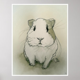 Guineas Gris Teckning - konst Skriv ut Poster