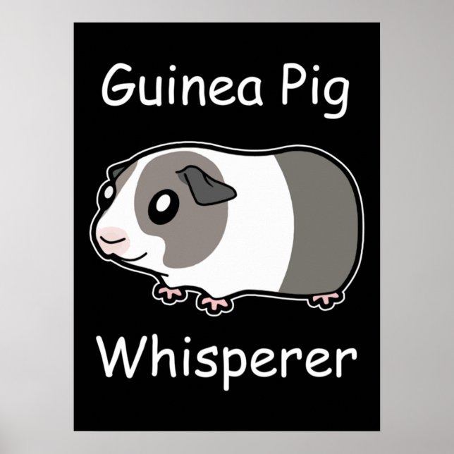 Guineas Gris Whisperer Poster (Framsidan)