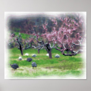 Guineas i Orchard Print/Poster Poster