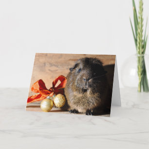 Guineas julkort Gris Helgkort