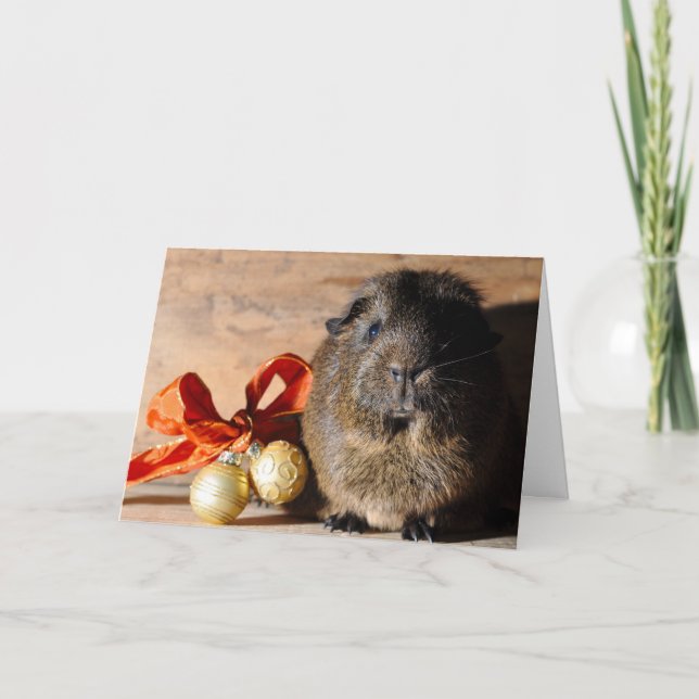 Guineas julkort Gris Helgkort (Framsida)