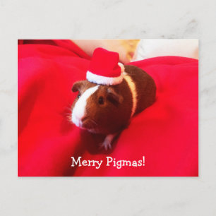 Guineas Jultomten-jul, Helgdag Helg Vykort