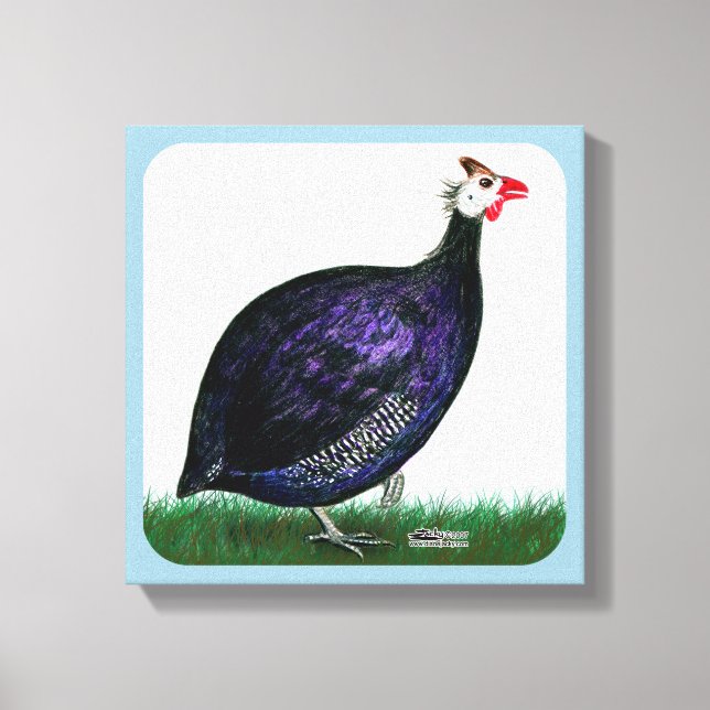 Guineas Lila och Himlar Canvastryck (Framsida)