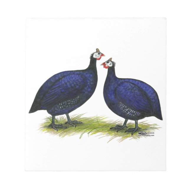 Guineas Royal Lila Pair Anteckningsblock (Framsida)