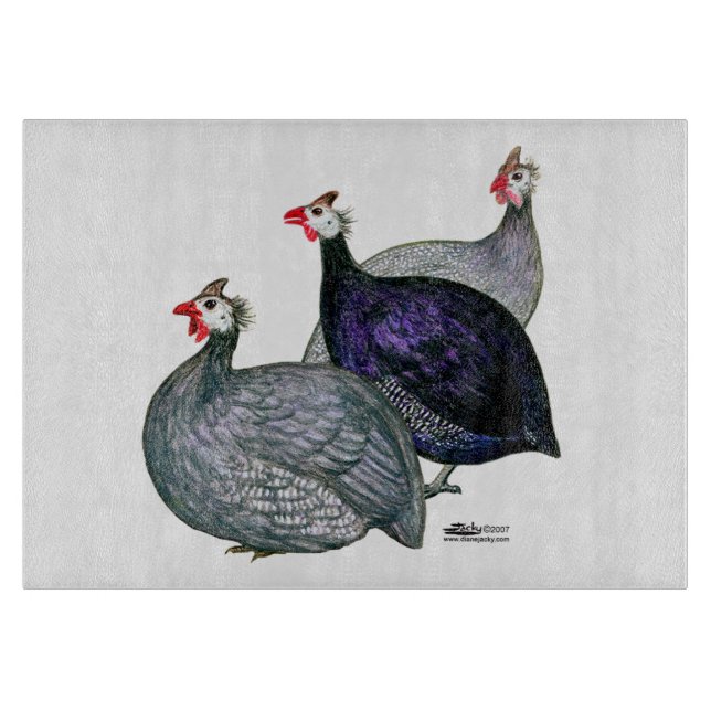 Guineas Three (Framsidan)