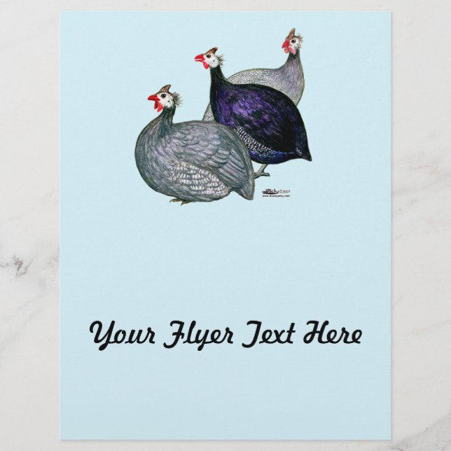 Guineas Three (Framsida)
