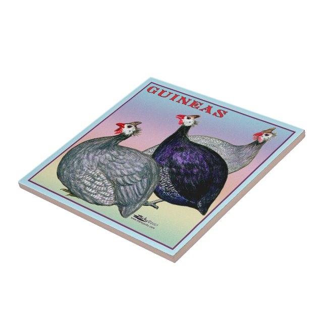 Guineas Three Fowl Kakelplatta (Sidan)