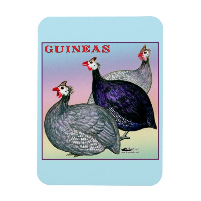 Guineas Three Fowl Magnet (Vertikal)