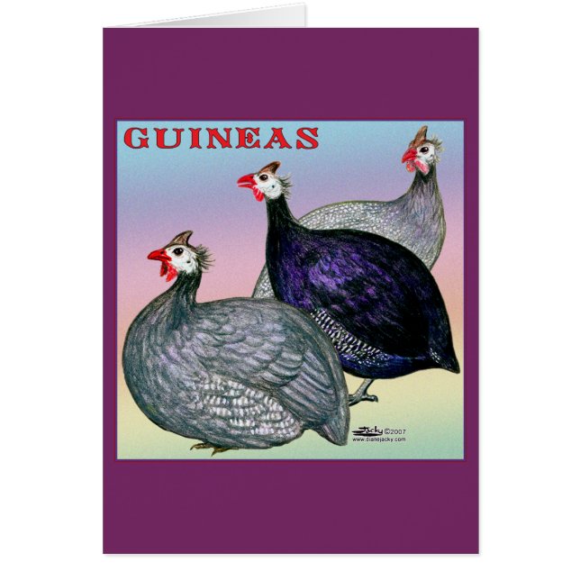 Guineas Three Fowl OBS Kort (Framsidan)
