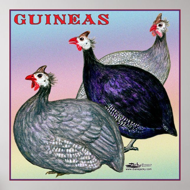 Guineas Three Fowl Poster (Framsidan)