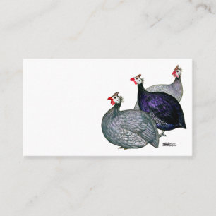 Guineas Three Visitkort