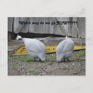 Guineas väg vi går nu vykort