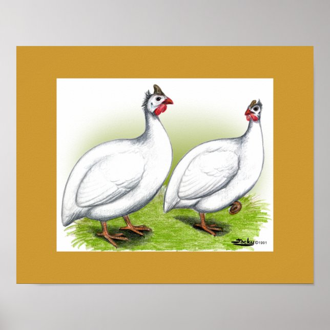 Guineas: White Poster (Framsidan)