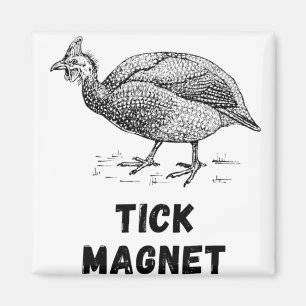 Guineguinea Hen Fowl Boskap Land Poultry Guine Magnet