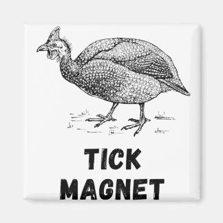Guineguinea Hen Fowl Boskap Land Poultry Guine Magnet