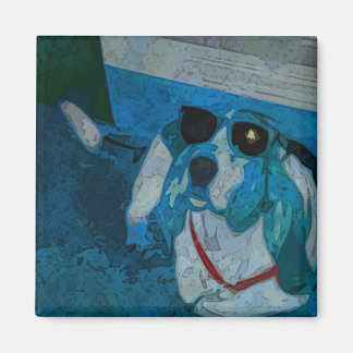 Guinness Coola Magnet