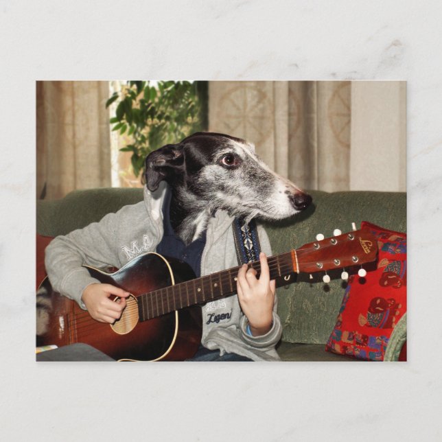 Guitar hund vykort (Framsida)