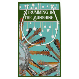 GUITARSTRINGARNA I SOL