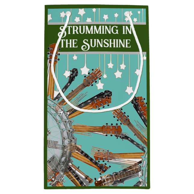 GUITARSTRINGARNA I SOL (Baksidan)