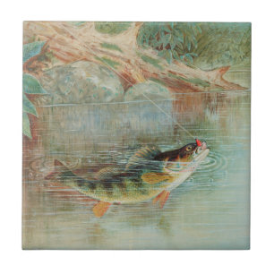 Gul abborre av S.A. Kilbourne, Vintage fisk Kakelplatta