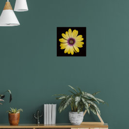 Gul afrikansk margarita på svart blommönster poster