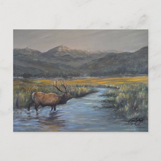 Gul älg vykort (Framsida)