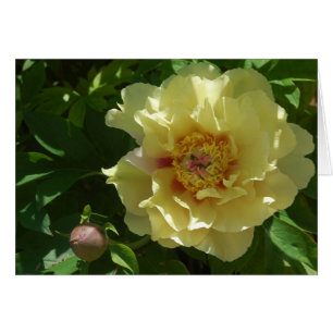 Gul ambition hälsningskort