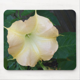 Gul änglatrumpet blomma närbild musmatta