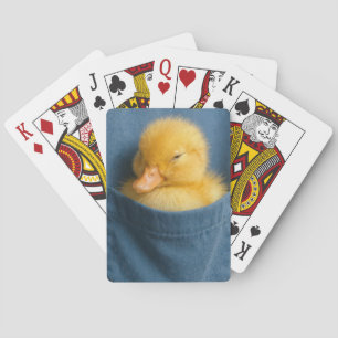 Gul Ankunge I en Blå T-Shirt Ficka Casinokort