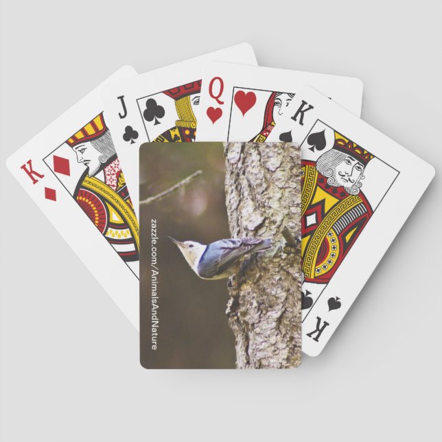 Gul & blåttfågel som leker kort casinokort (Baksidan)