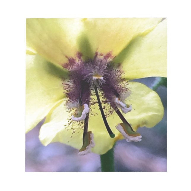 Gul blomma 3 anteckningsblock (Framsida)