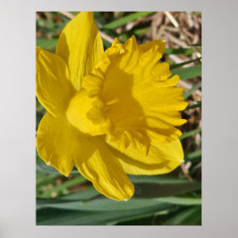 Gul blomma affisch