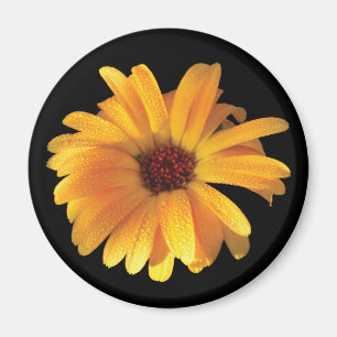 Gul blomma & dagg magnet