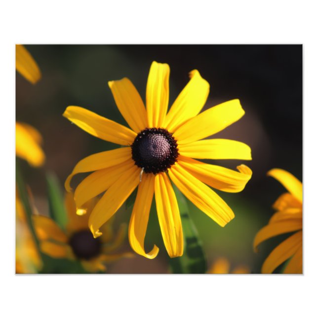 gul blomma fototryck (Framsidan)