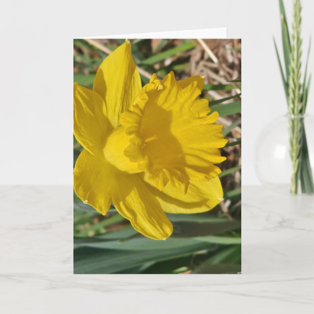 Gul blomma gratulationskort kort (Framsida)