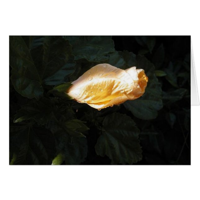 Gul blomma hälsningskort (Framsidan Horizontal)