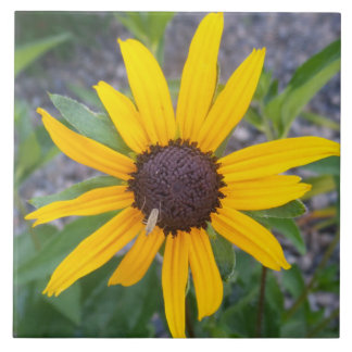 Gul blomma kakelplatta
