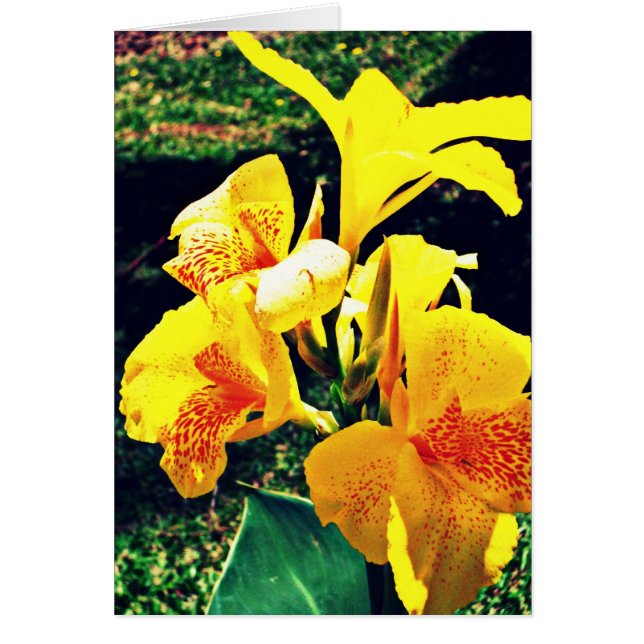 Gul blomma OBS kort (Framsidan)