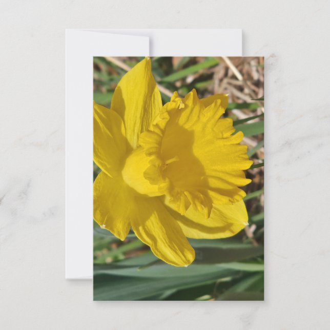 Gul blomma tackkort tack kort (Framsida)